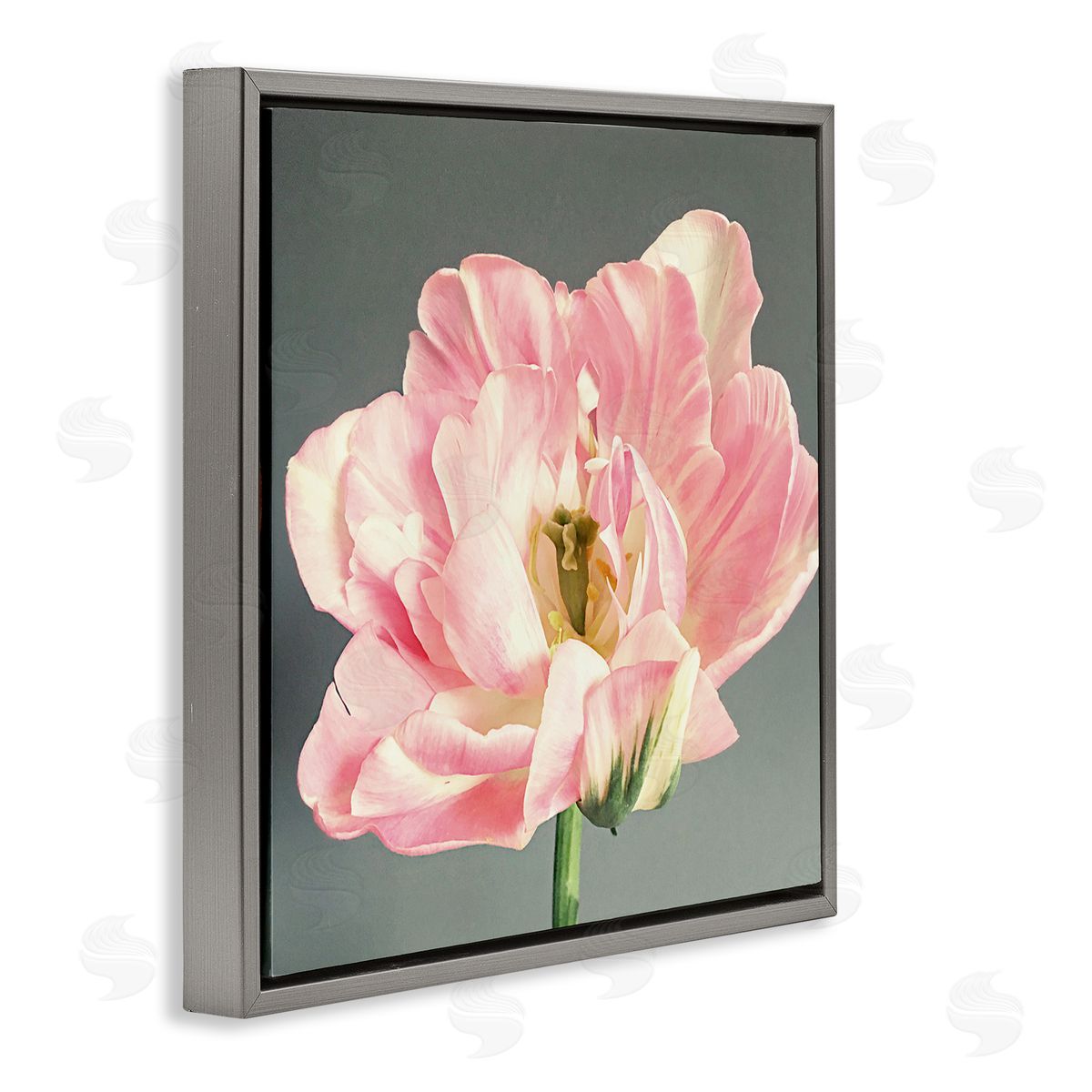 Pink Floral Close-Up Grey Floating Frame Canvas Wall Art, Home Decor by Sarah Jane