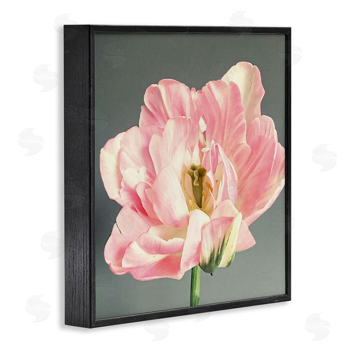 Pink Floral Close-Up Black Frame Print Wall Art, Home Decor by Sarah Jane