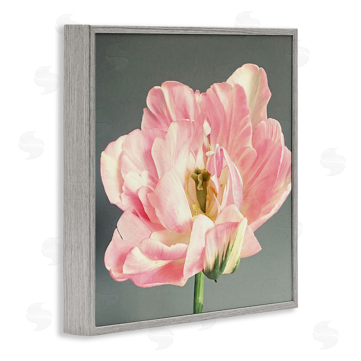 Pink Floral Close-Up Grey Frame Print Wall Art, Home Decor by Sarah Jane