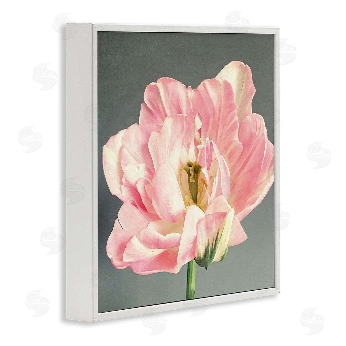 Pink Floral Close-Up White Frame Print Wall Art, Home Decor by Sarah Jane