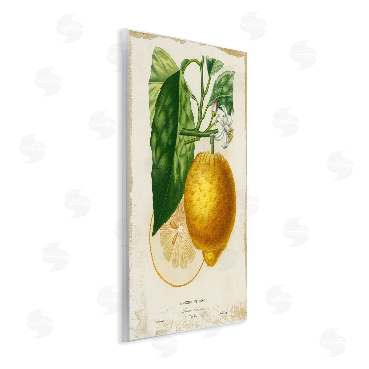 Vintage French Lemon Blossom Wood Plaque Wall Art, Home Decor by Studio W