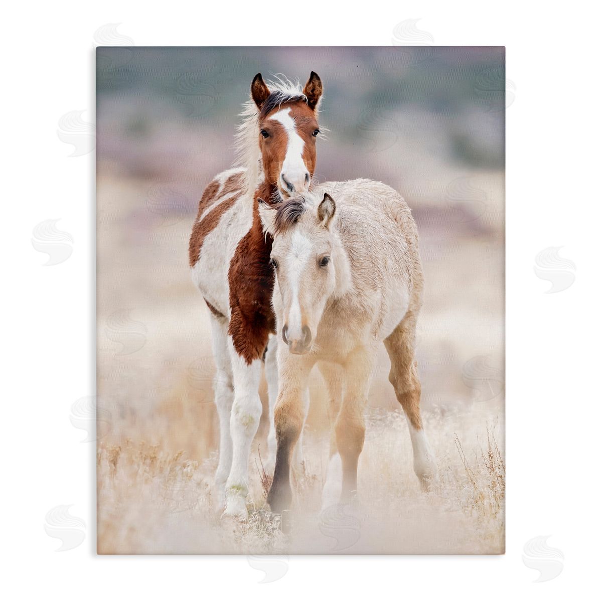 Horse Collection in Meadow Canvas Wall Art, Home Decor by PHBurchett