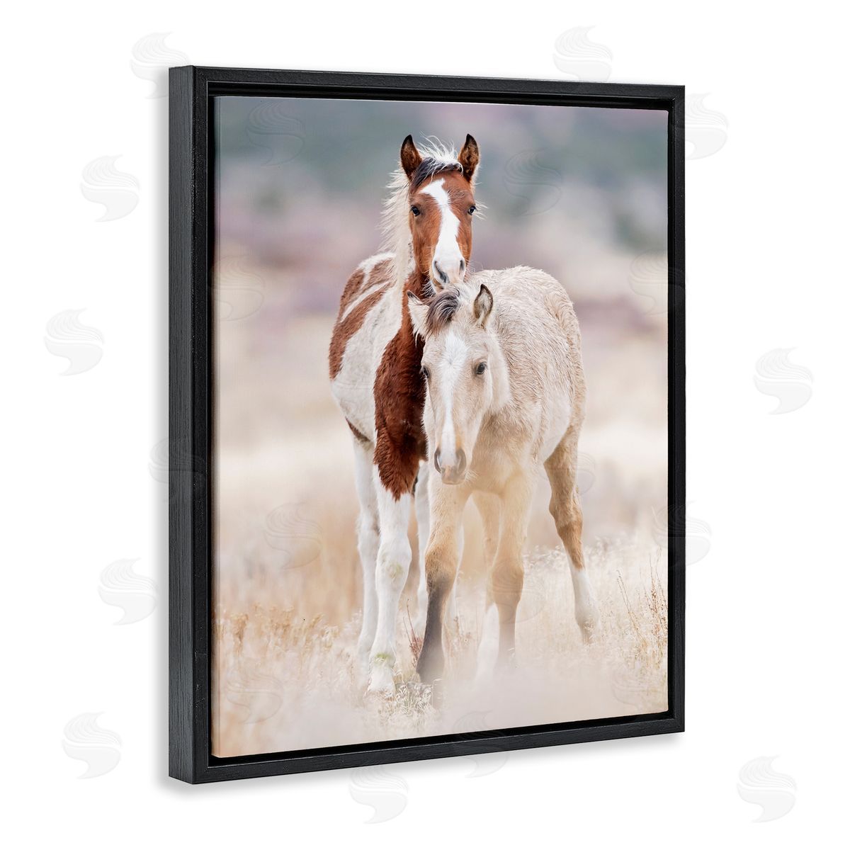 Horse Collection in Meadow Black Floating Frame Canvas Wall Art, Home Decor by PHBurchett