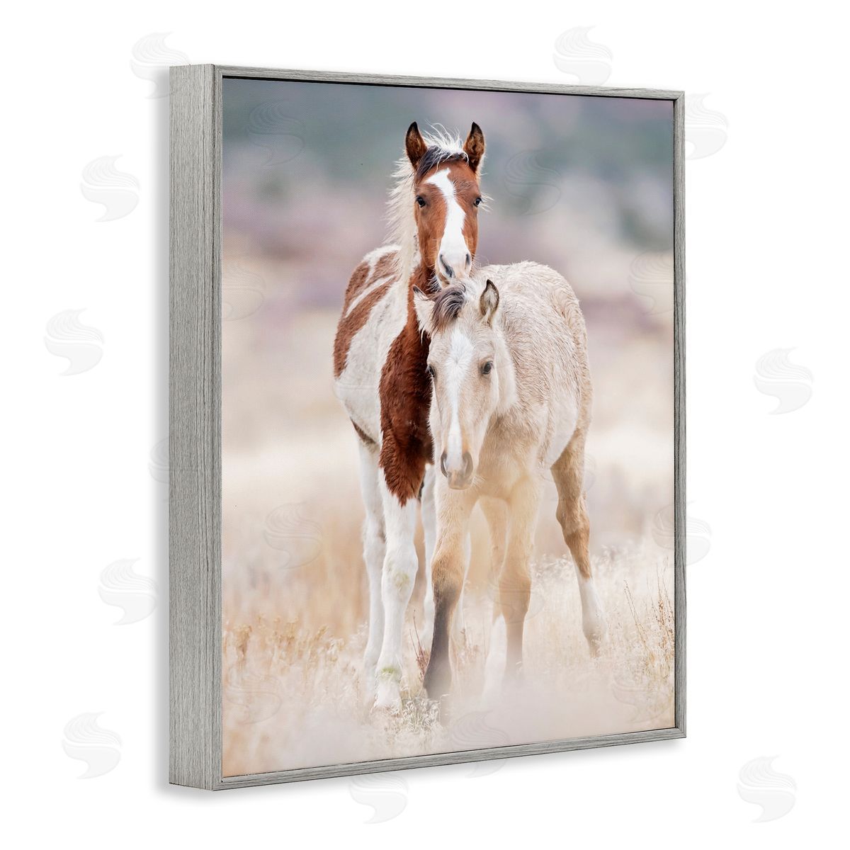 Horse Collection in Meadow Grey Frame Print Wall Art, Home Decor by PHBurchett
