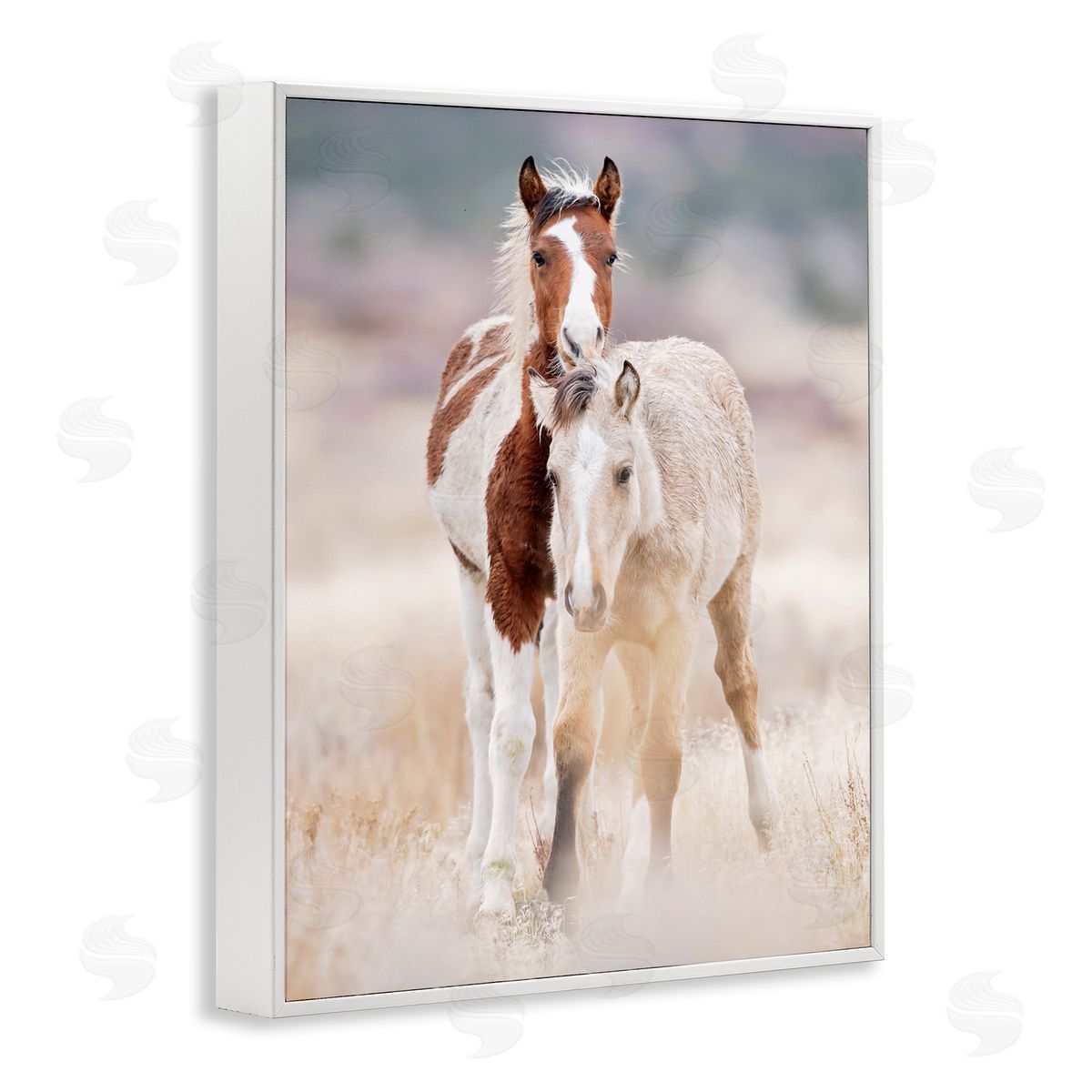 Horse Collection in Meadow White Frame Print Wall Art, Home Decor by PHBurchett