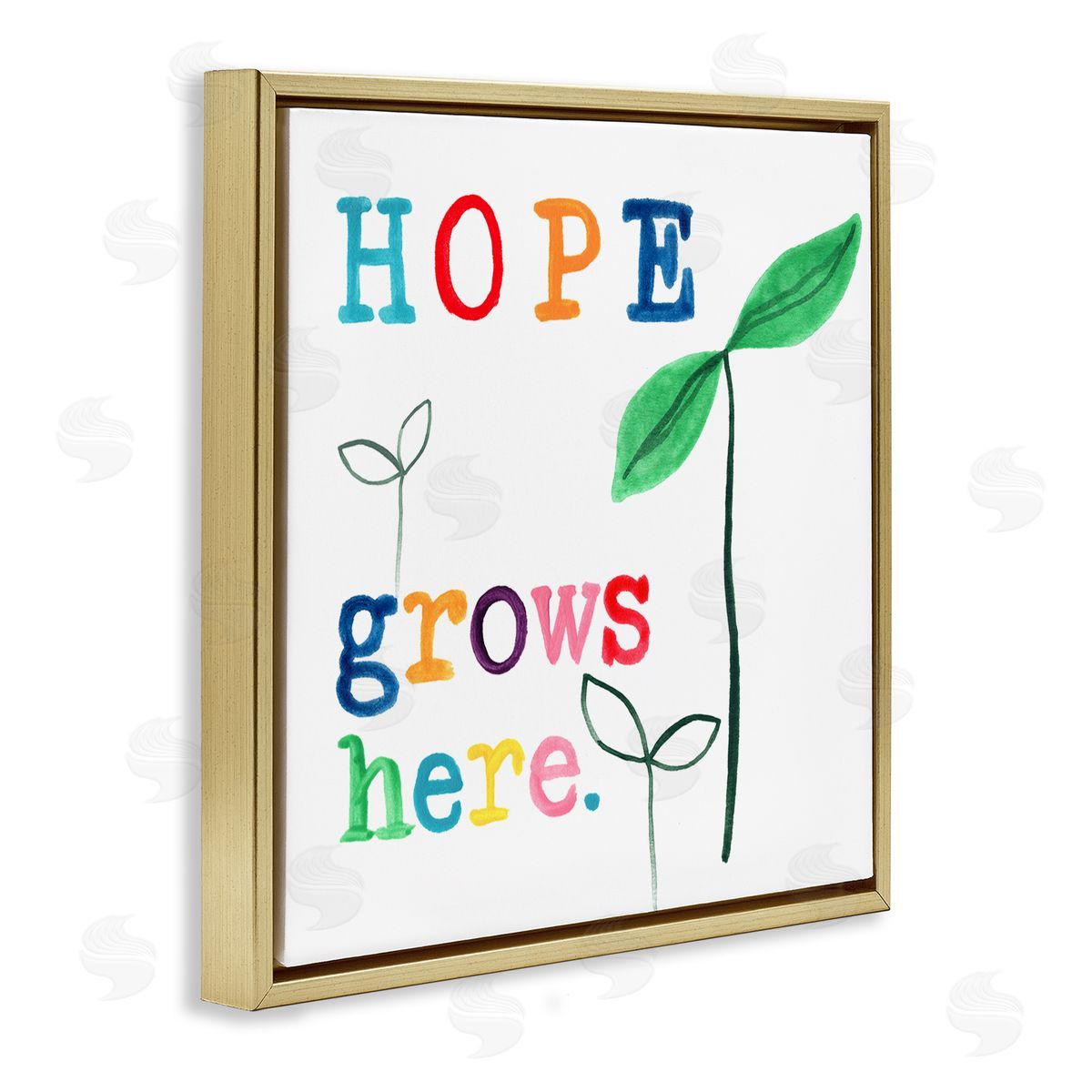 Hope Grows Here Colorful Gold Floating Frame Canvas Wall Art, Home Decor by June Erica Vess