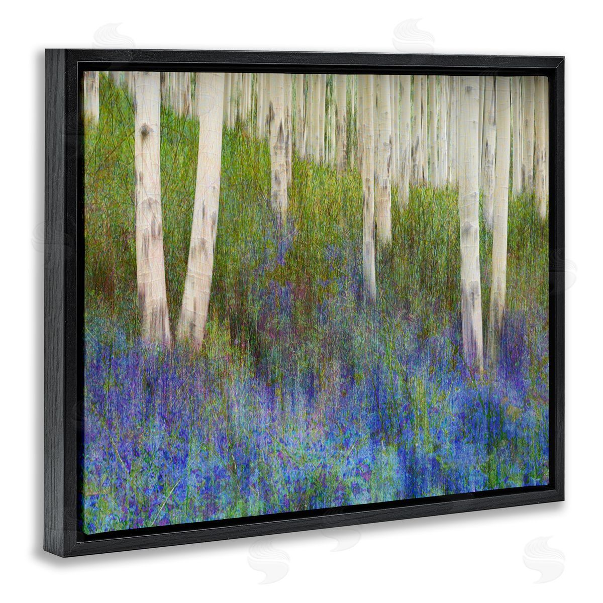 Lavender Field with Birch Trees Black Floating Frame Canvas Wall Art, Home Decor by Chris Vest