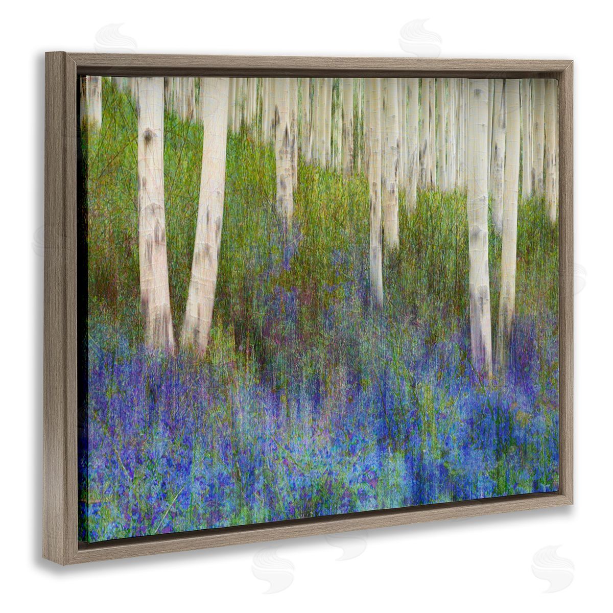 Lavender Field with Birch Trees Brown Floating Frame Canvas Wall Art, Home Decor by Chris Vest