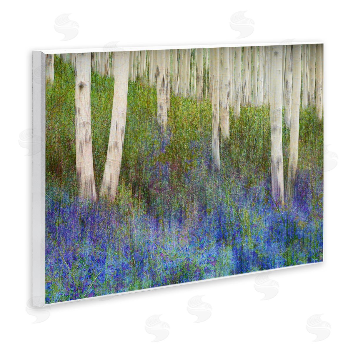 Lavender Field with Birch Trees Wood Plaque Wall Art, Home Decor by Chris Vest
