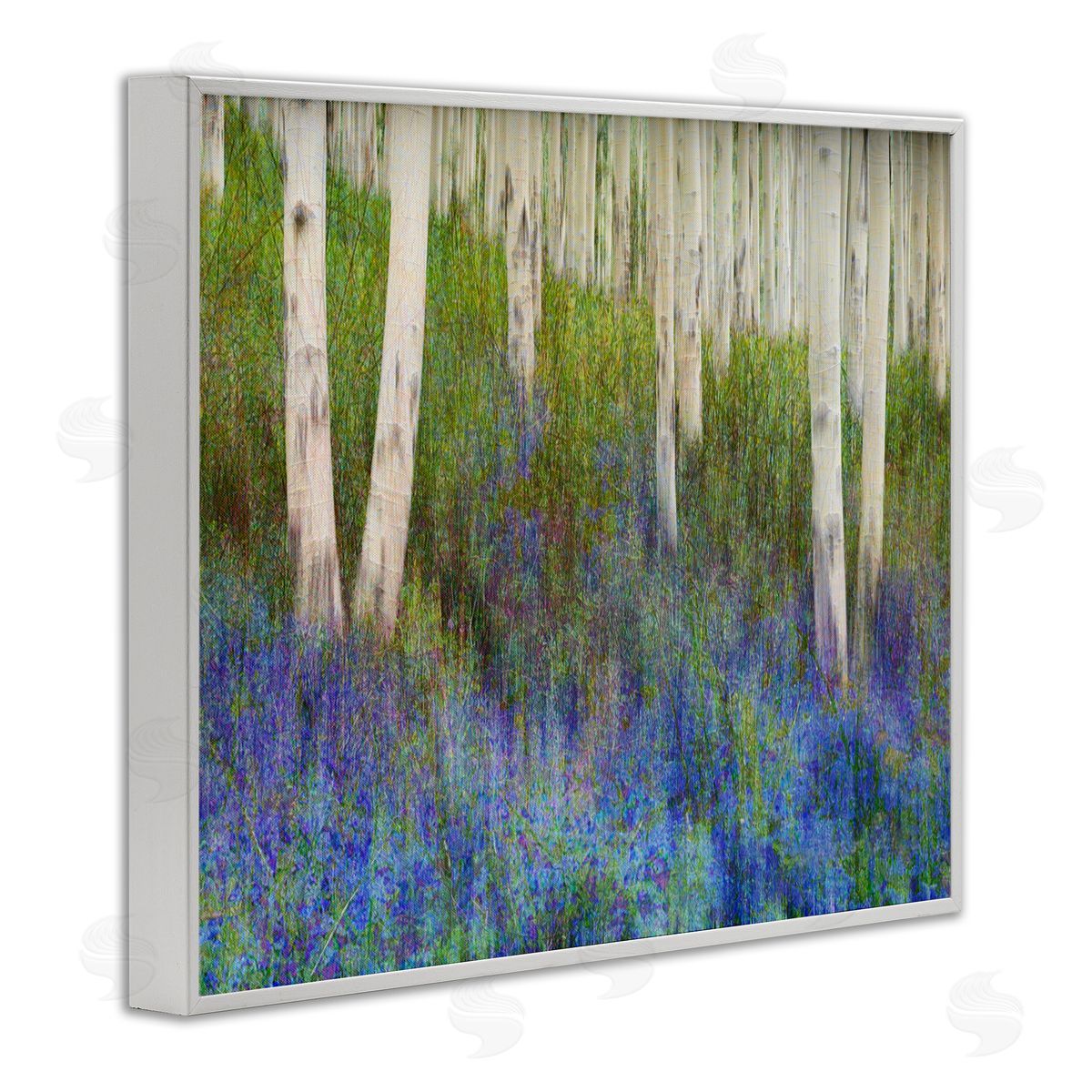 Lavender Field with Birch Trees White Frame Print Wall Art, Home Decor by Chris Vest
