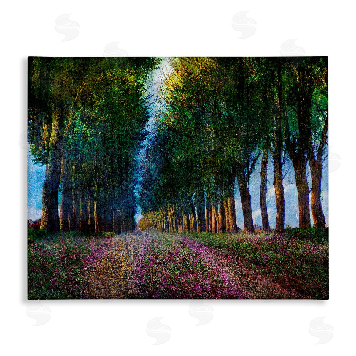 Row of Trees Provence Canvas Wall Art, Home Decor by Chris Vest