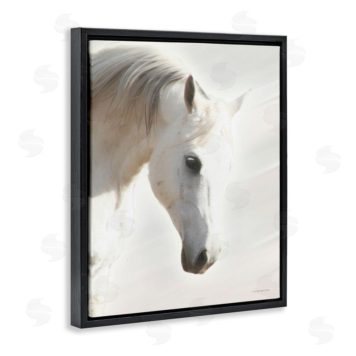 Kari Brooks White Stallion Portrait Southwestern Horse Black Floater Frame Canvas Art