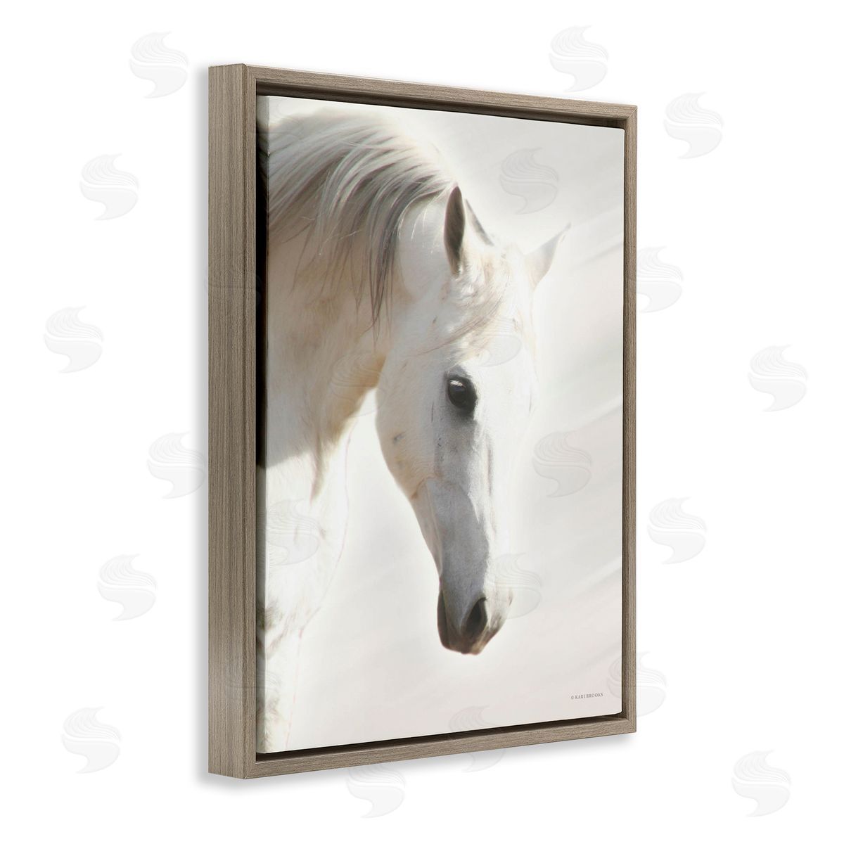 Kari Brooks White Stallion Portrait Southwestern Horse Brown Floater Frame Canvas Art