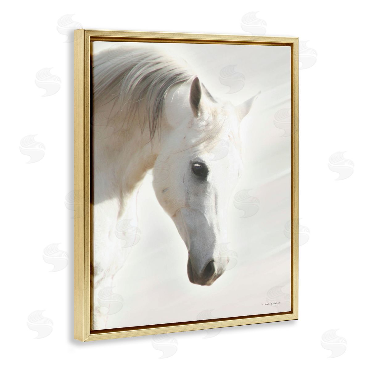 Kari Brooks White Stallion Portrait Southwestern Horse Gold Floater Frame Canvas Art