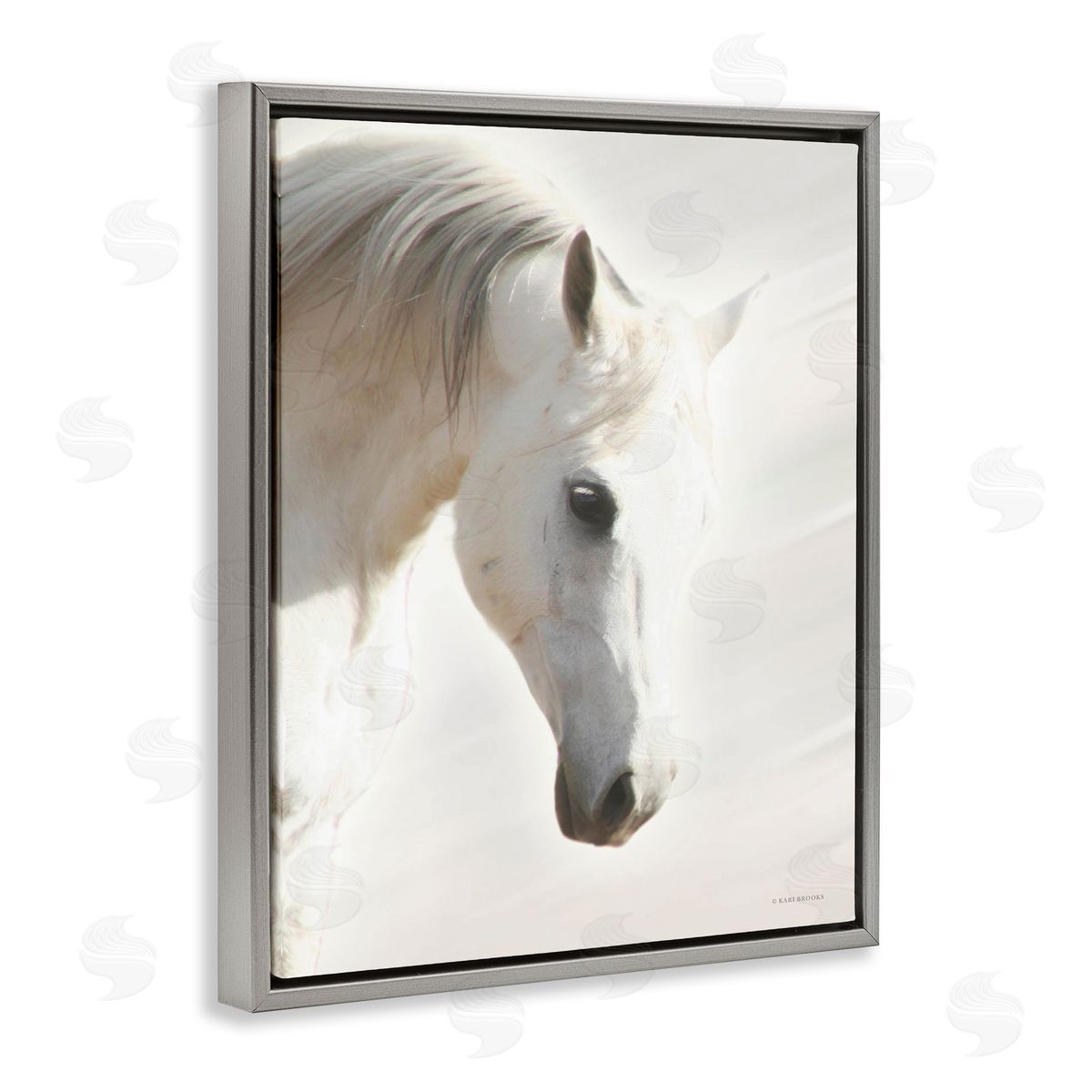 Kari Brooks White Stallion Portrait Southwestern Horse Gray Floater Frame Canvas Art