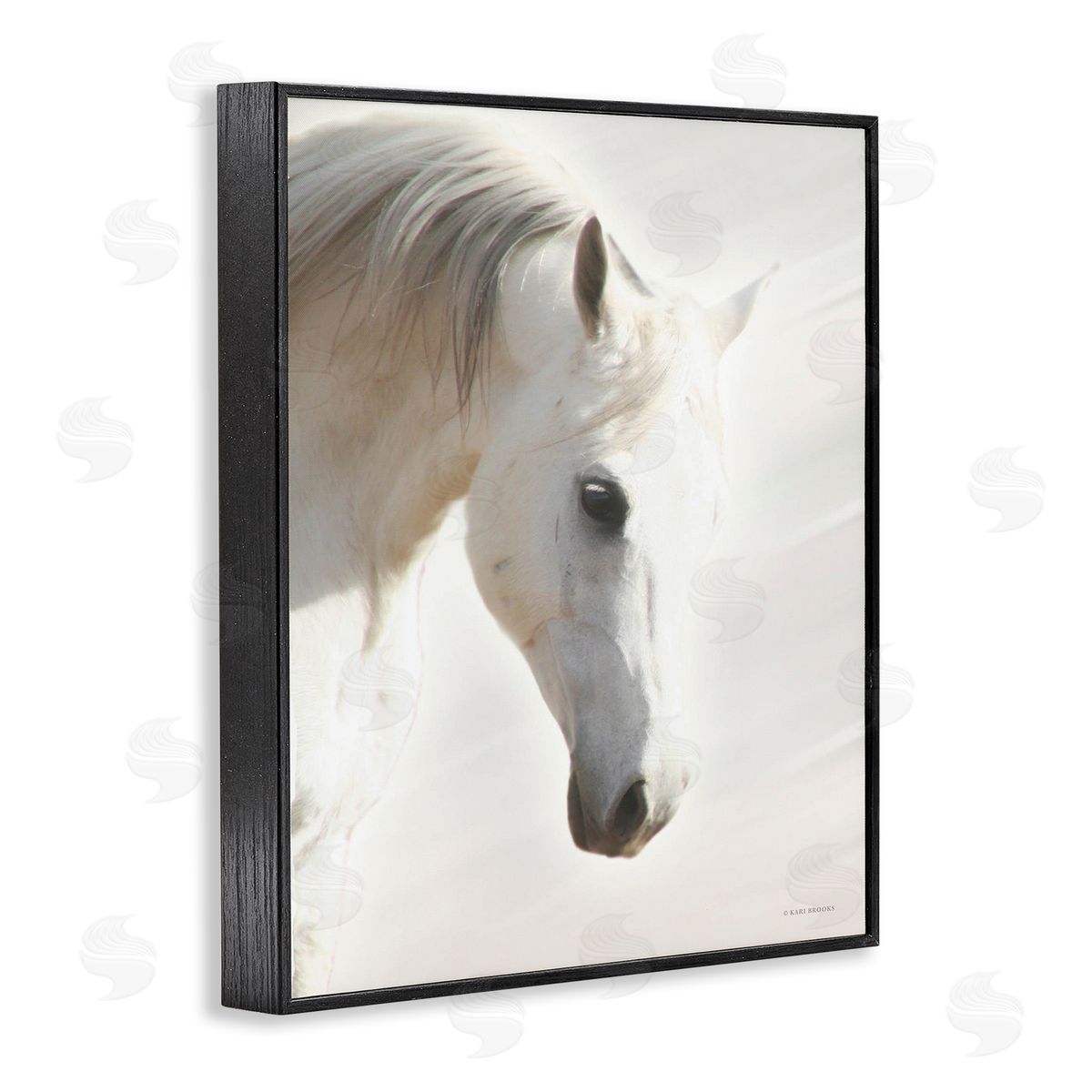Kari Brooks White Stallion Portrait Southwestern Horse Black Framed Giclee Wall Art