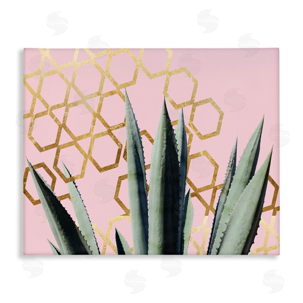 Stupell Studio Cactus Leaves Pink Geometric Pattern Canvas Wall Art