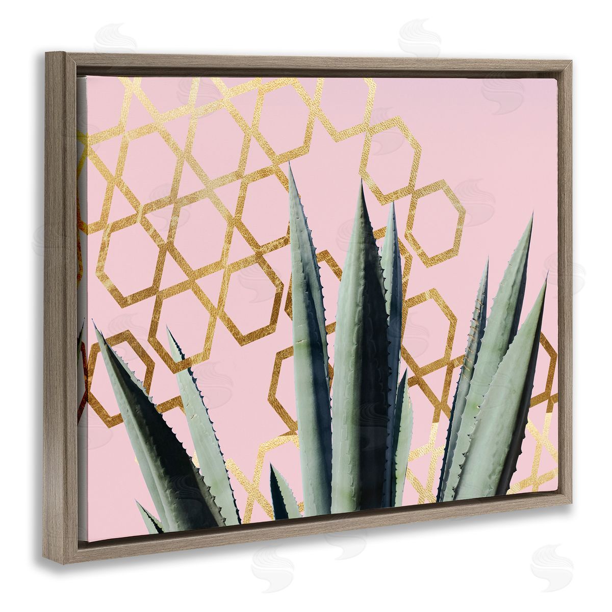 Stupell Studio Cactus Leaves Pink Geometric Pattern Brown Floater Frame Canvas Art