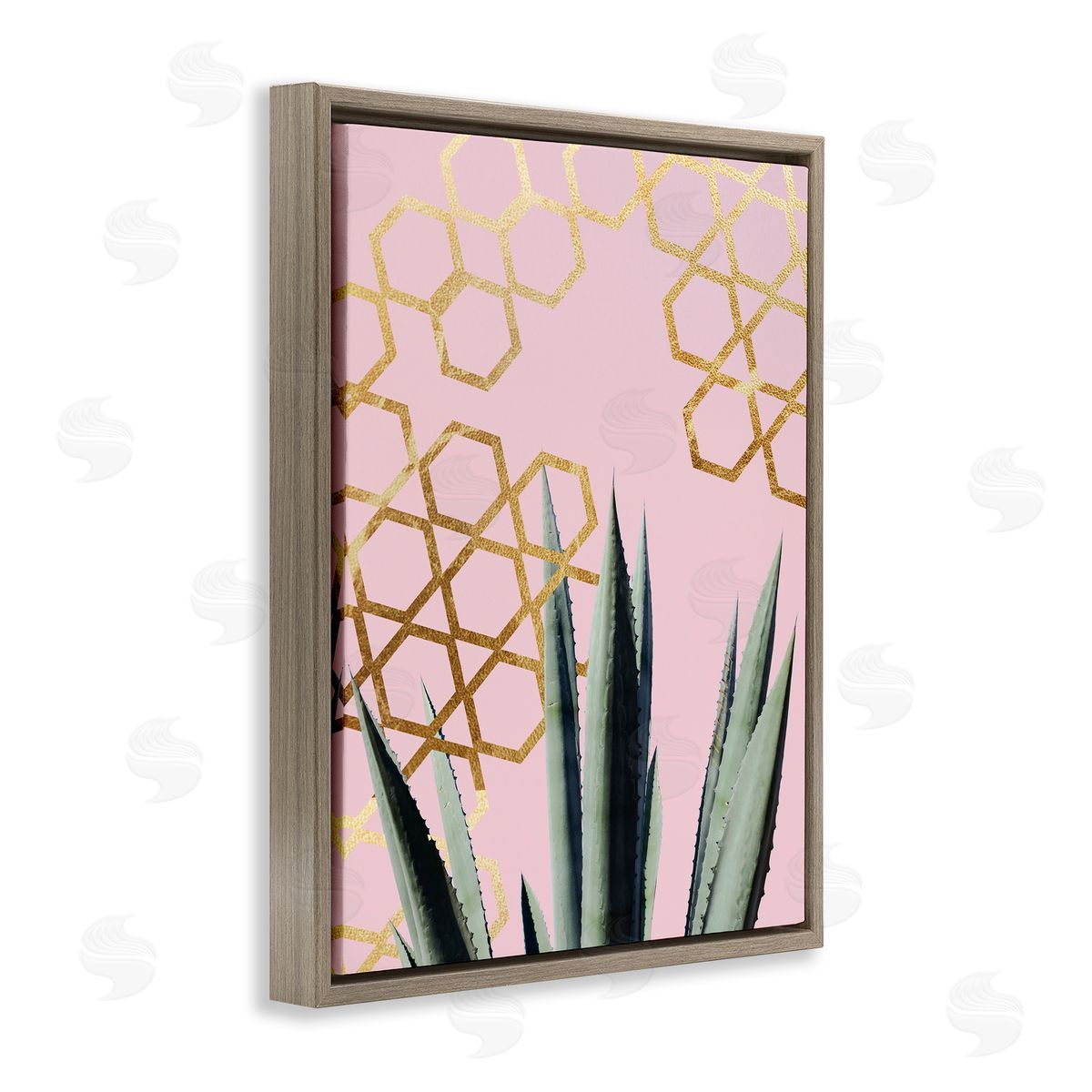 Stupell Studio Abstract Pink Geometric Pattern Cacti Brown Floater Frame Canvas Art