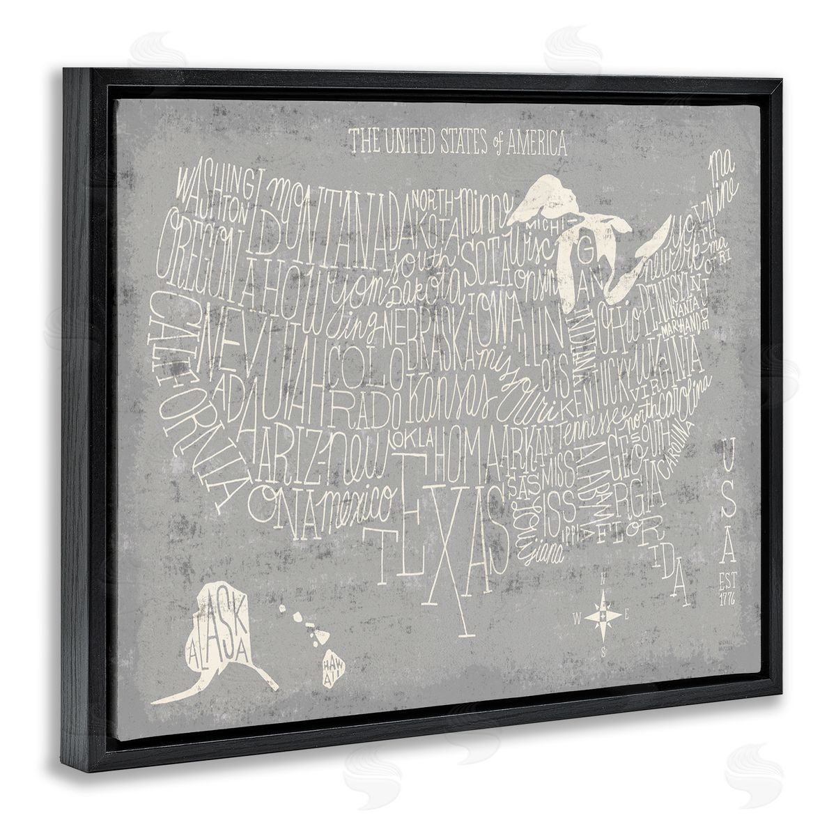 Michael Mullan Distressed US Map Typography Black Floater Frame Canvas Art