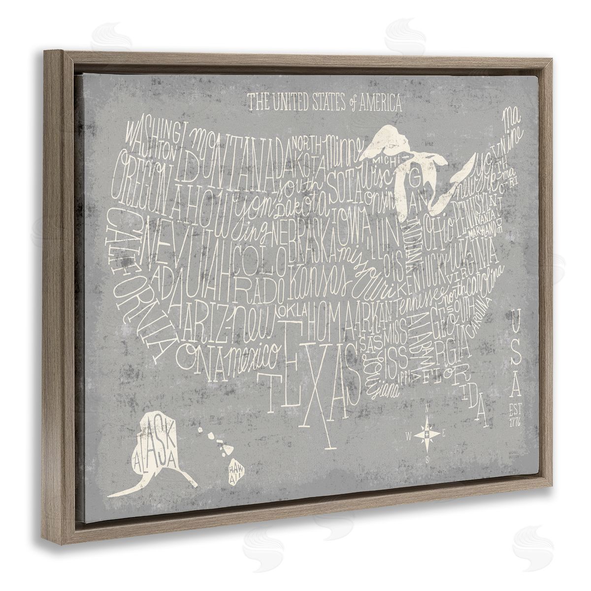 Michael Mullan Distressed US Map Typography Brown Floater Frame Canvas Art