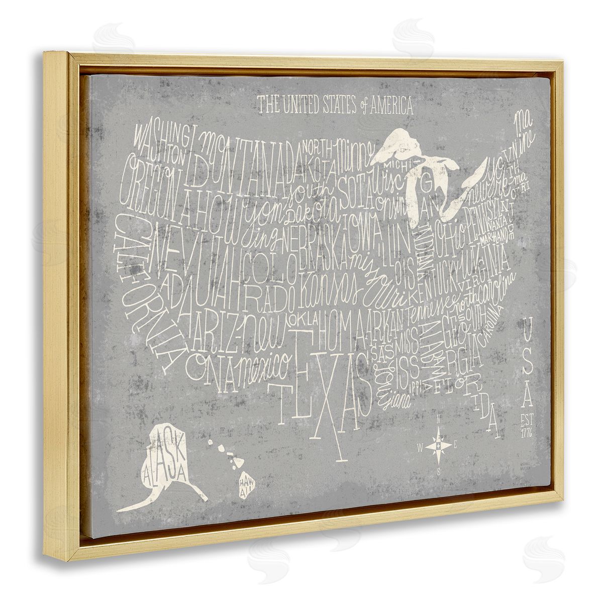 Michael Mullan Distressed US Map Typography Gold Floater Frame Canvas Art