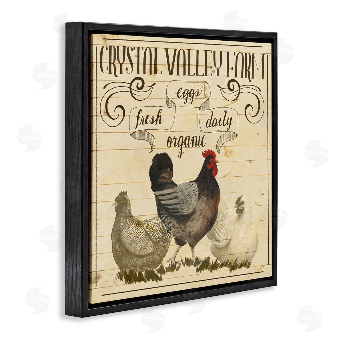 Grace Popp Organic Farm Eggs Vintage Black Floater Frame Canvas Art