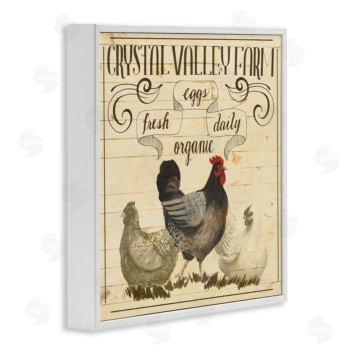 Grace Popp Organic Farm Eggs Vintage White Framed Giclee Wall Art