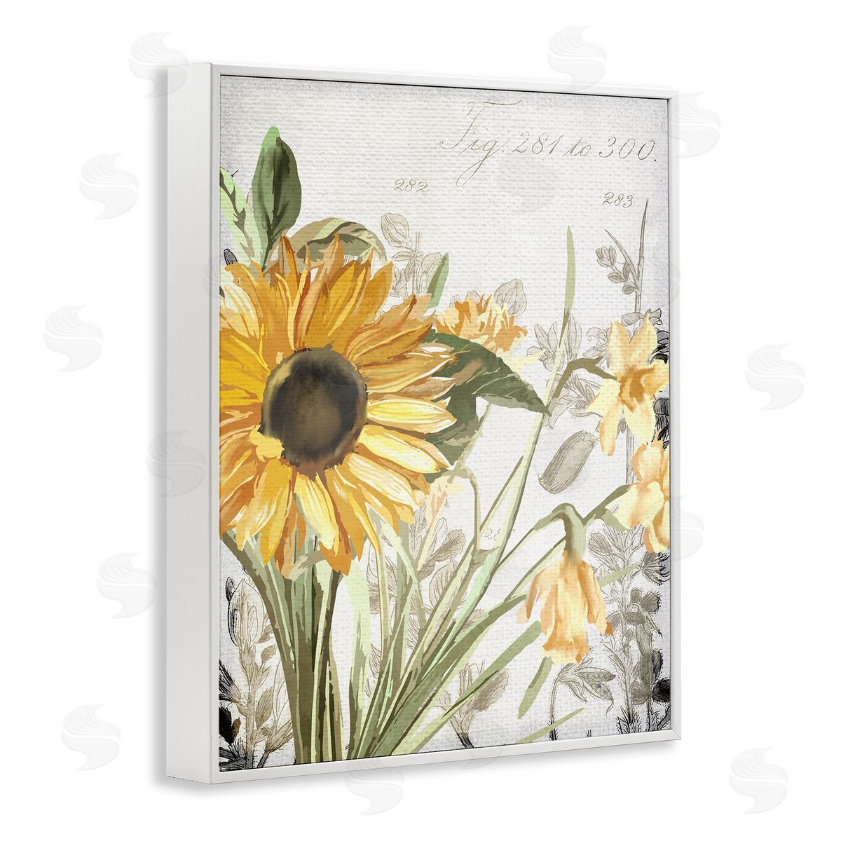 Kim Allen Sunflower Floral over Vintage Plant White Framed Giclee Wall Art
