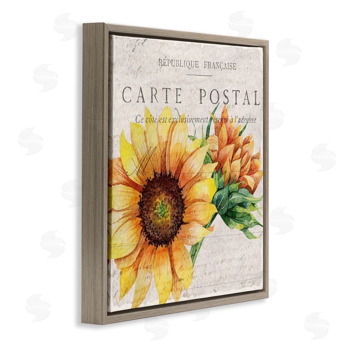 Vintage French Sunflower Postcard Brown Floating Frame Canvas Wall Art, Home Decor by Kim Allen