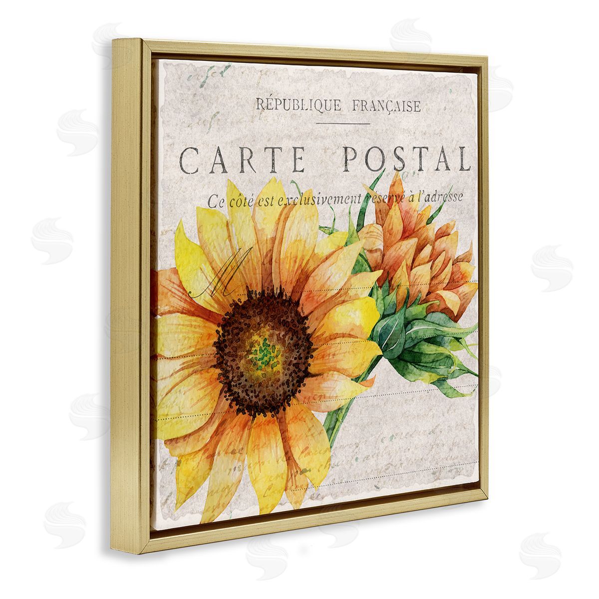 Vintage French Sunflower Postcard Gold Floating Frame Canvas Wall Art, Home Decor by Kim Allen