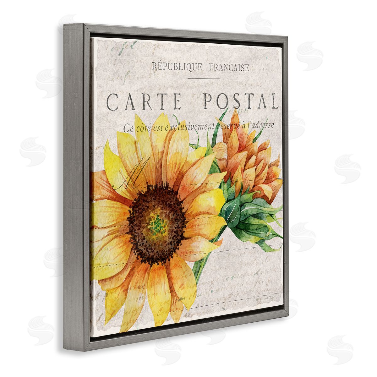 Vintage French Sunflower Postcard Grey Floating Frame Canvas Wall Art, Home Decor by Kim Allen