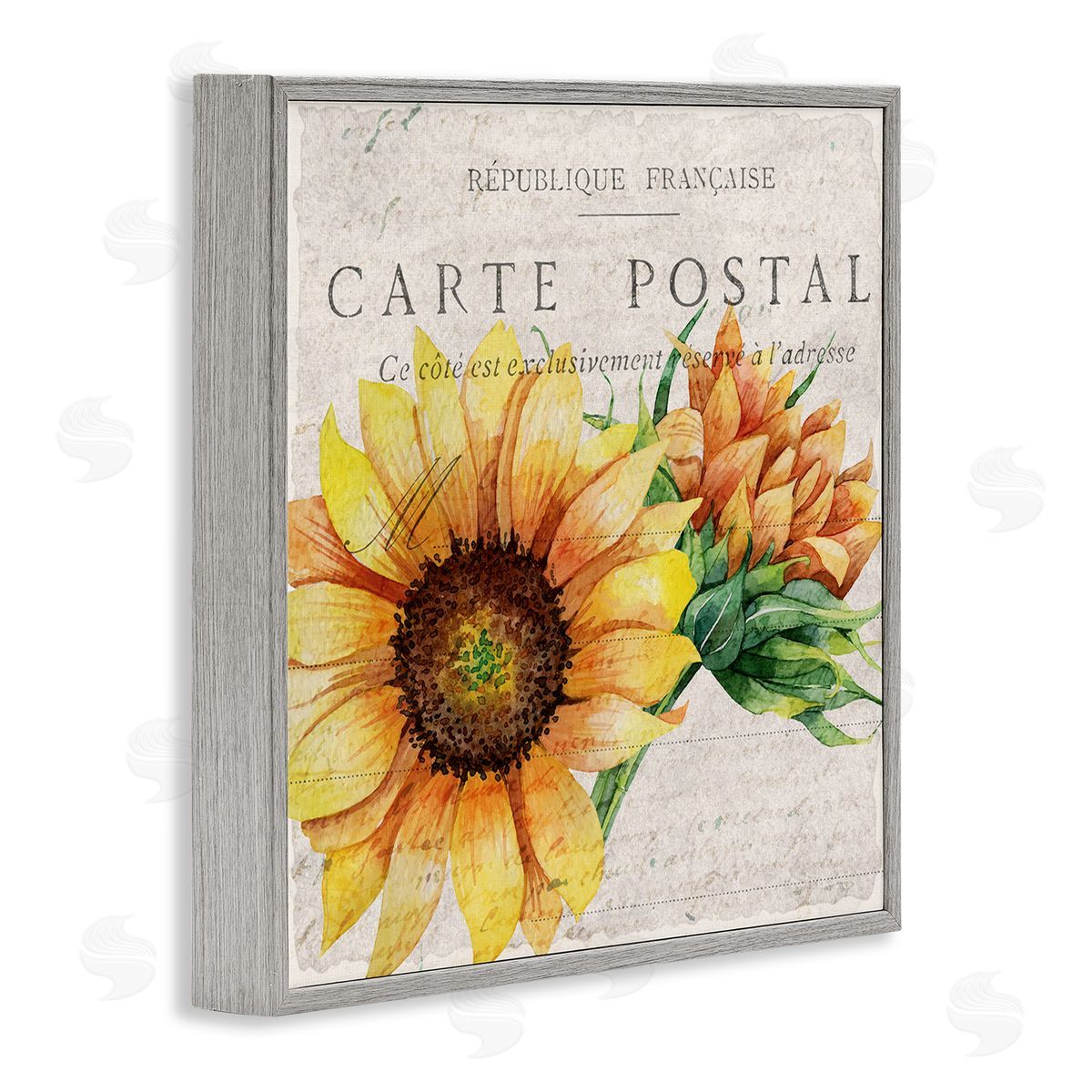 Vintage French Sunflower Postcard Grey Frame Print Wall Art, Home Decor by Kim Allen