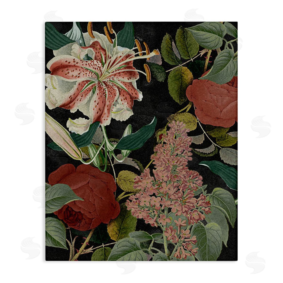Stupell Studio Tropical Bohemian Floral Illustration Canvas Wall Art