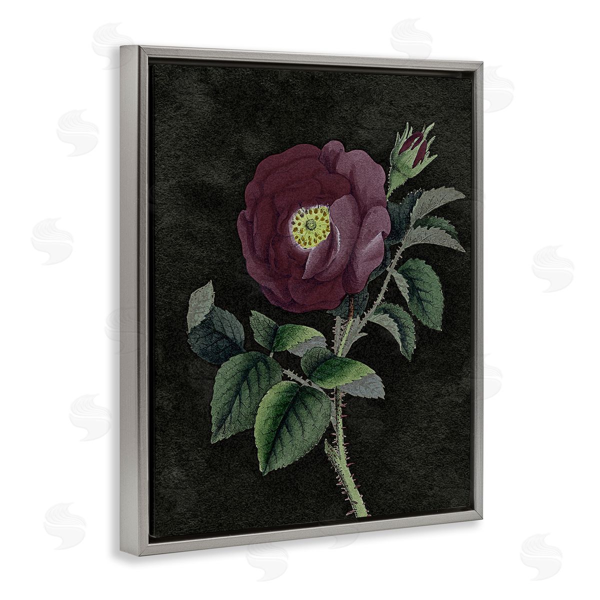 Stupell Studio Purple Poppy Vintage Illustration Gray Floater Frame Canvas Art
