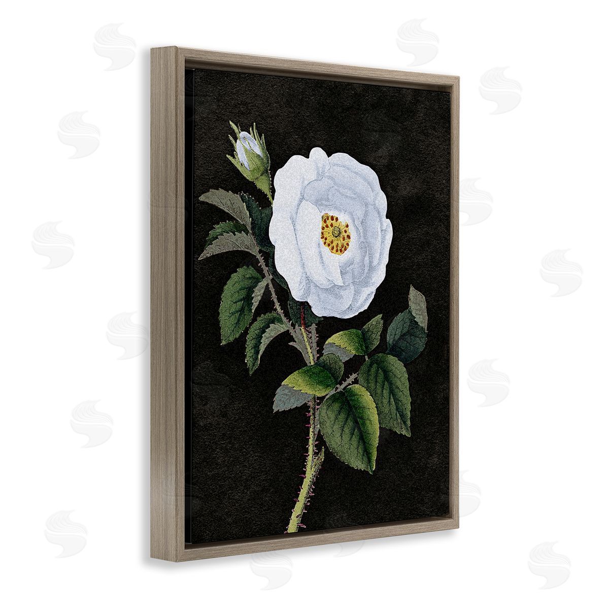 Stupell Studio White Poppy Illustration Vintage Brown Floater Frame Canvas Art