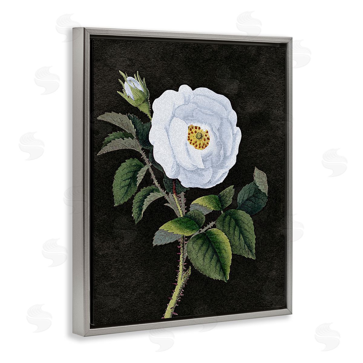 Stupell Studio White Poppy Illustration Vintage Gray Floater Frame Canvas Art