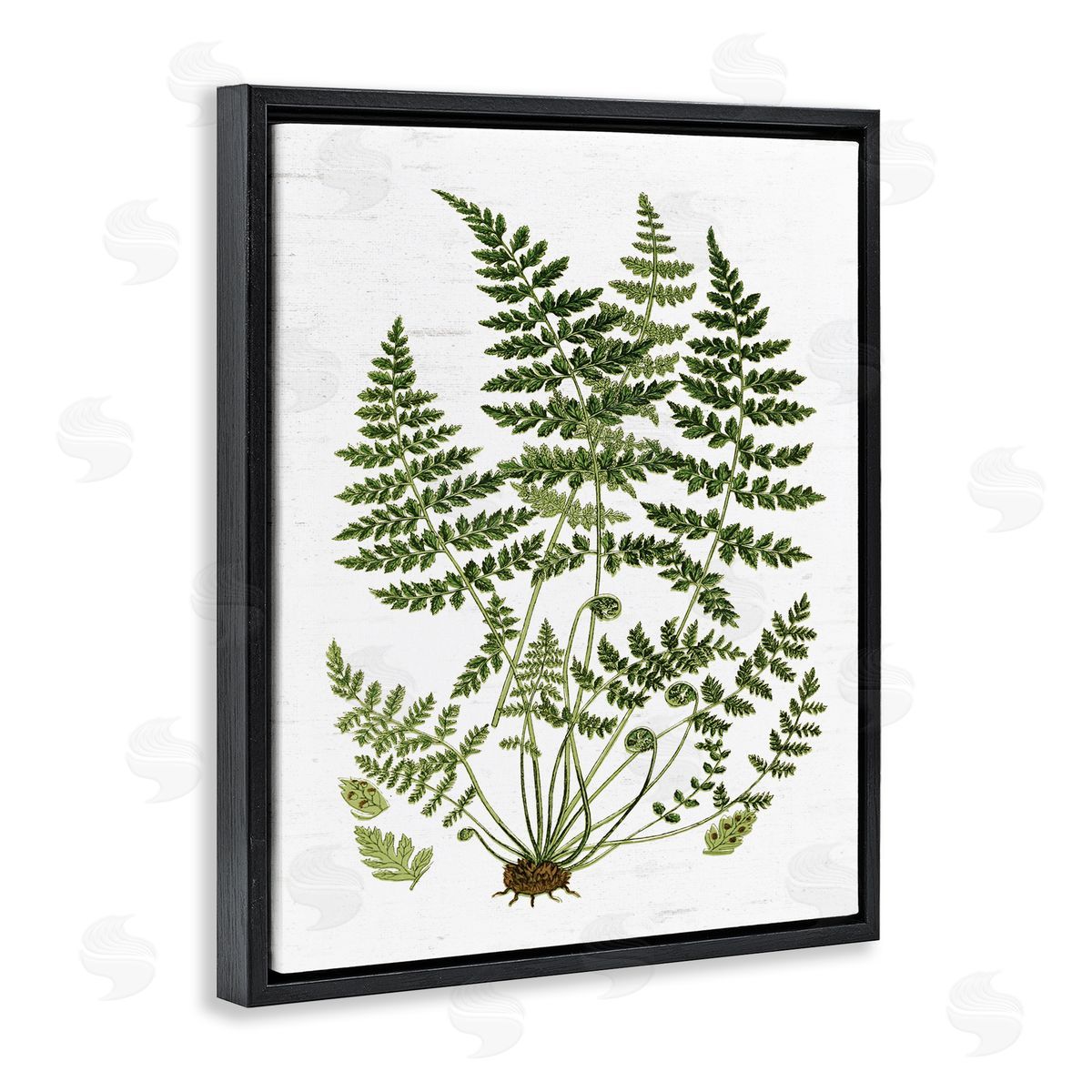 Lettered and Lined Forest Botanicals Charming White Willow Greenery Black Floater Frame Canvas Art