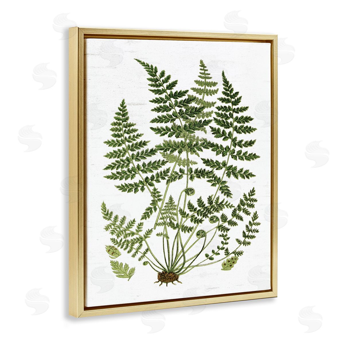 Lettered and Lined Forest Botanicals Charming White Willow Greenery Gold Floater Frame Canvas Art
