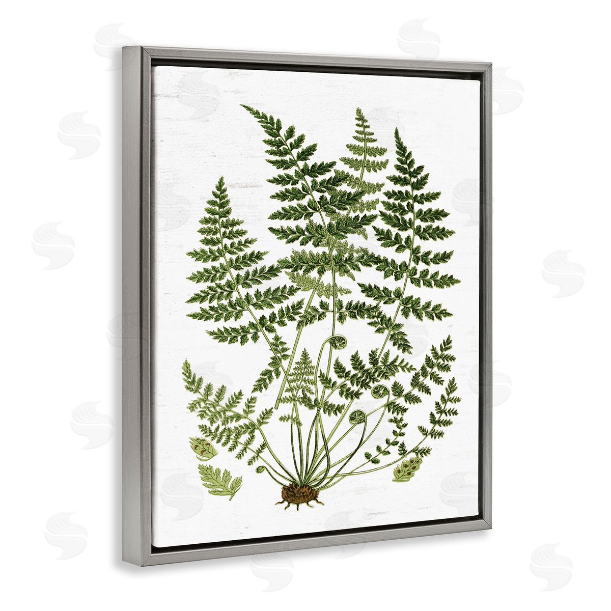 Lettered and Lined Forest Botanicals Charming White Willow Greenery Gray Floater Frame Canvas Art