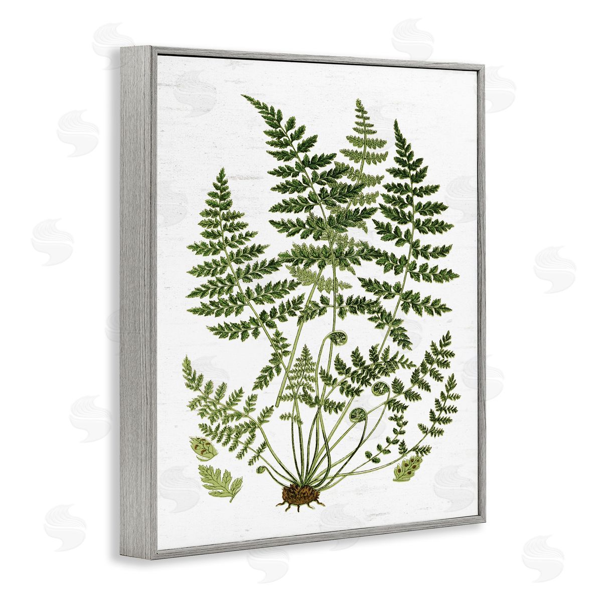 Lettered and Lined Forest Botanicals Charming White Willow Greenery Gray Framed Giclee Wall Art