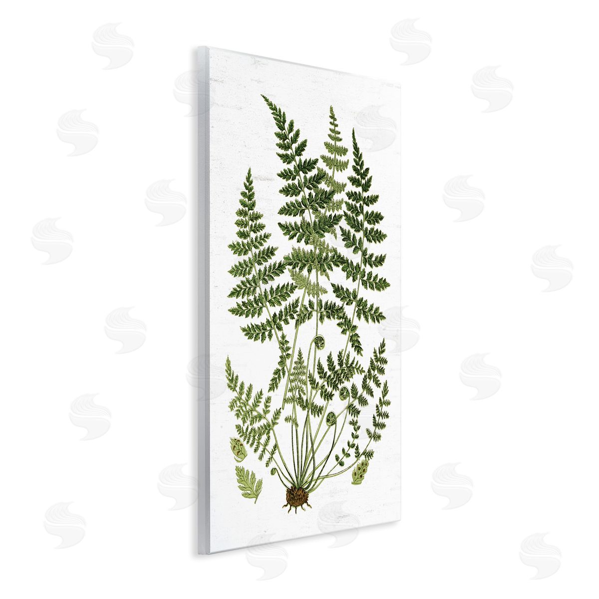 Lettered and Lined Forest Botanicals Charming White Willow Greenery Wall Plaque Art