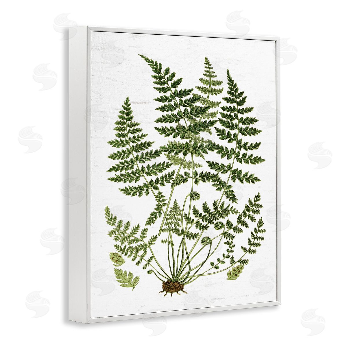 Lettered and Lined Forest Botanicals Charming White Willow Greenery White Framed Giclee Wall Art