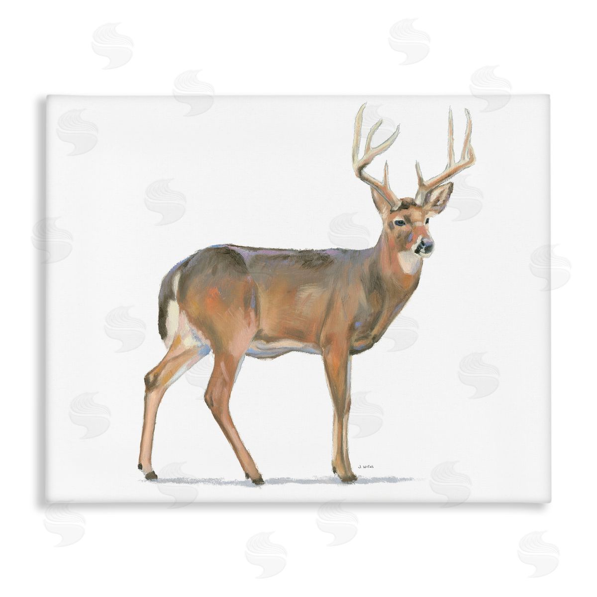 James Wiens Wild Woodland Deer Minimal Rustic Antlers Canvas Wall Art