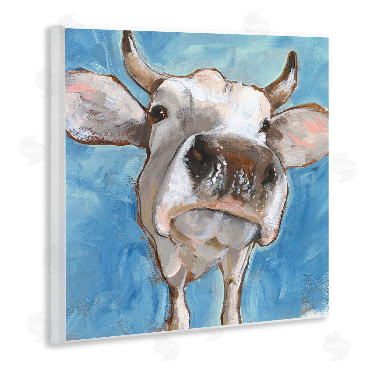 Jennifer Paxton Parker Close Up White Cattle Farm Animal Portrait Wall Plaque Art