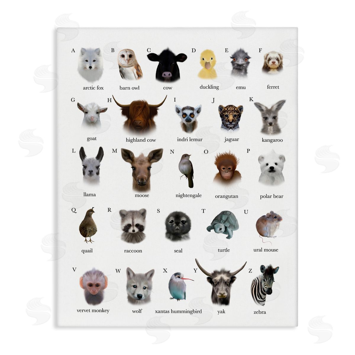 Leah Straatsma Alphabet Chart of Wild Animals over White Canvas Wall Art