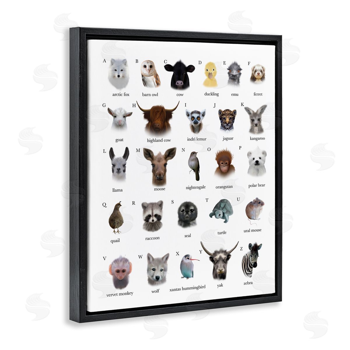 Leah Straatsma Alphabet Chart of Wild Animals over White Black Floater Frame Canvas Art
