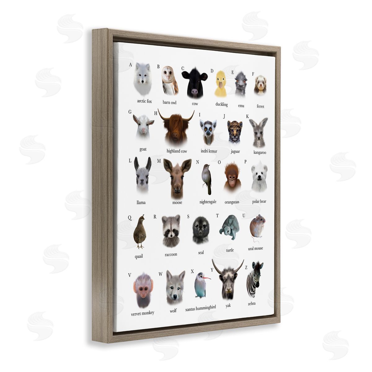 Leah Straatsma Alphabet Chart of Wild Animals over White Brown Floater Frame Canvas Art