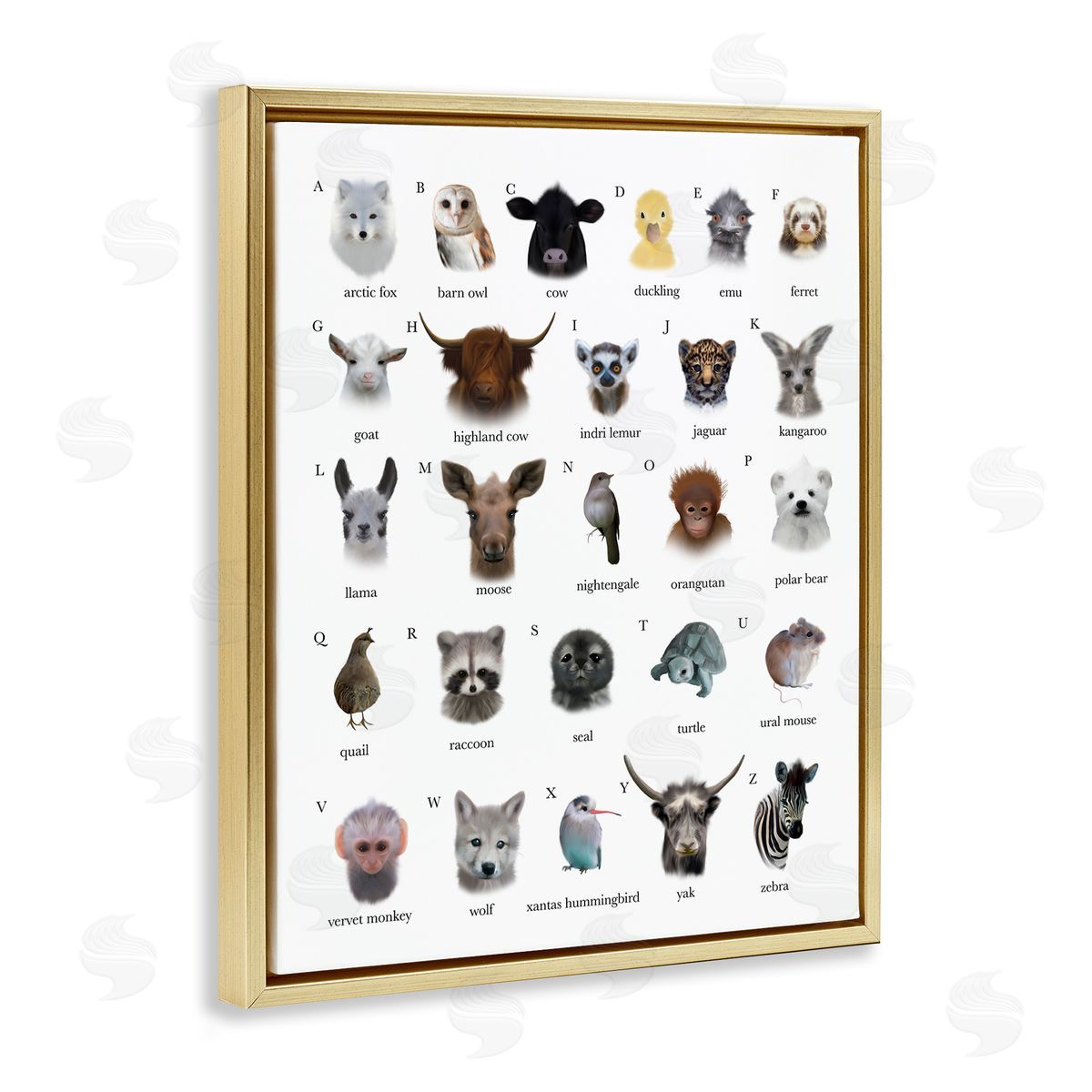 Leah Straatsma Alphabet Chart of Wild Animals over White Gold Floater Frame Canvas Art