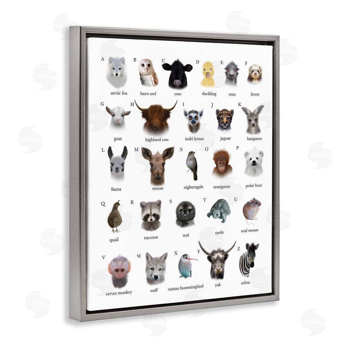 Leah Straatsma Alphabet Chart of Wild Animals over White Gray Floater Frame Canvas Art